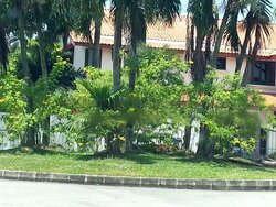 Cluny Road (D10), Detached #460731511